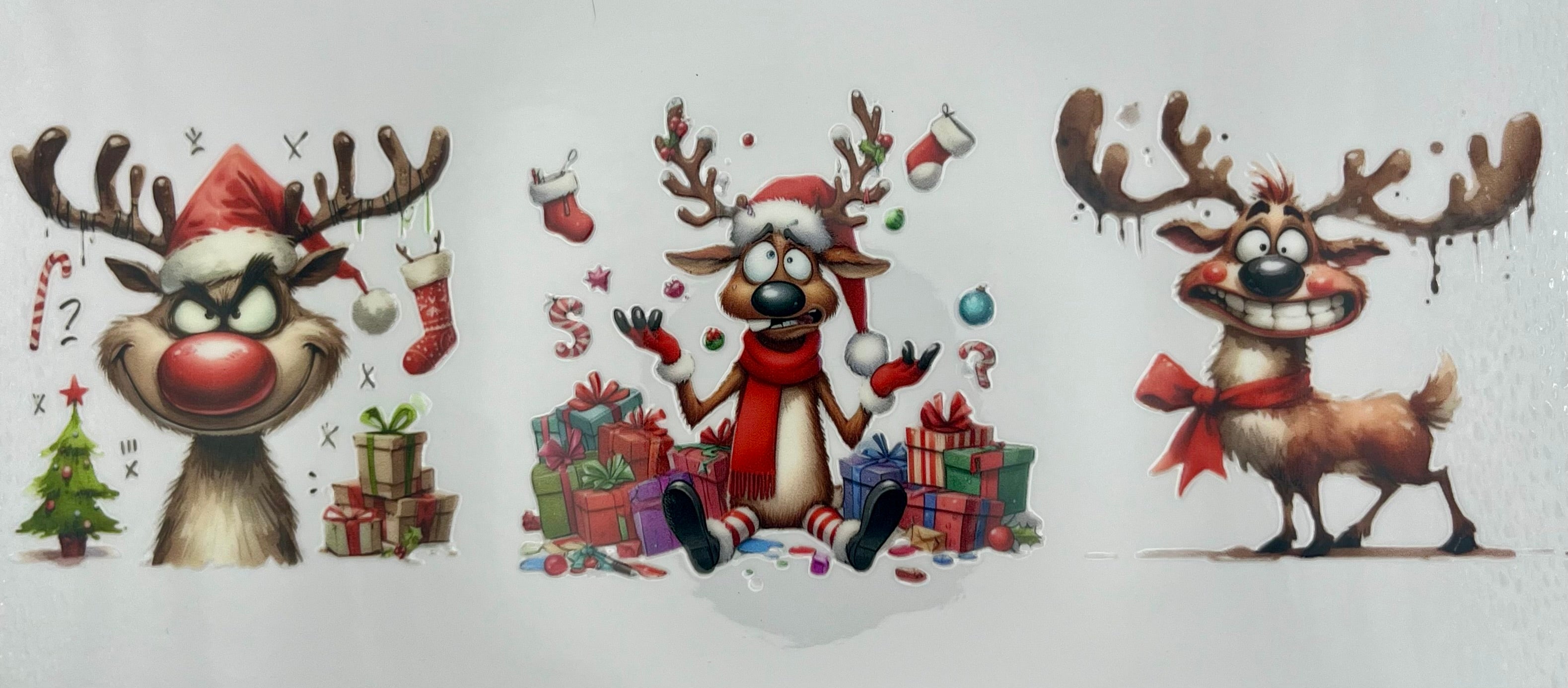 Reindeer