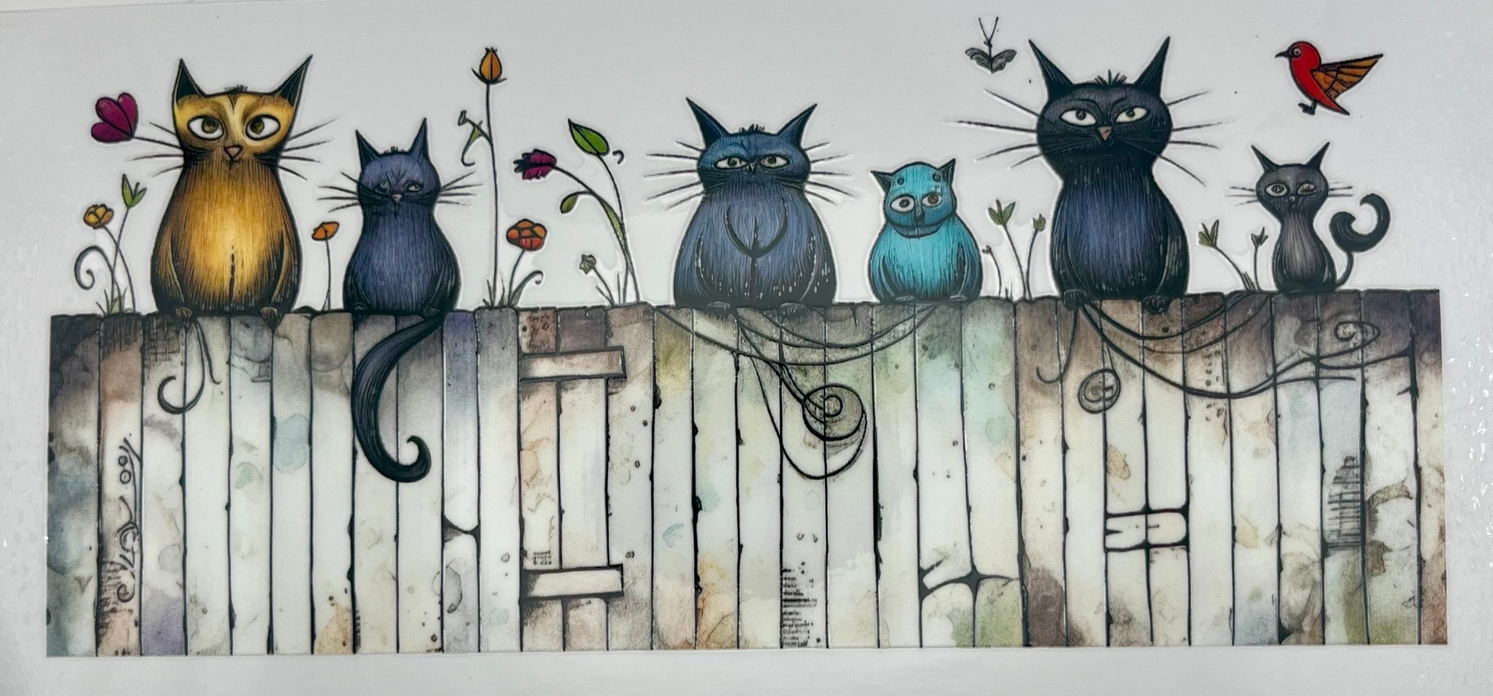 Fence cats