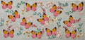 Pink & Orange Butterflies