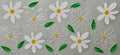 White Daisies