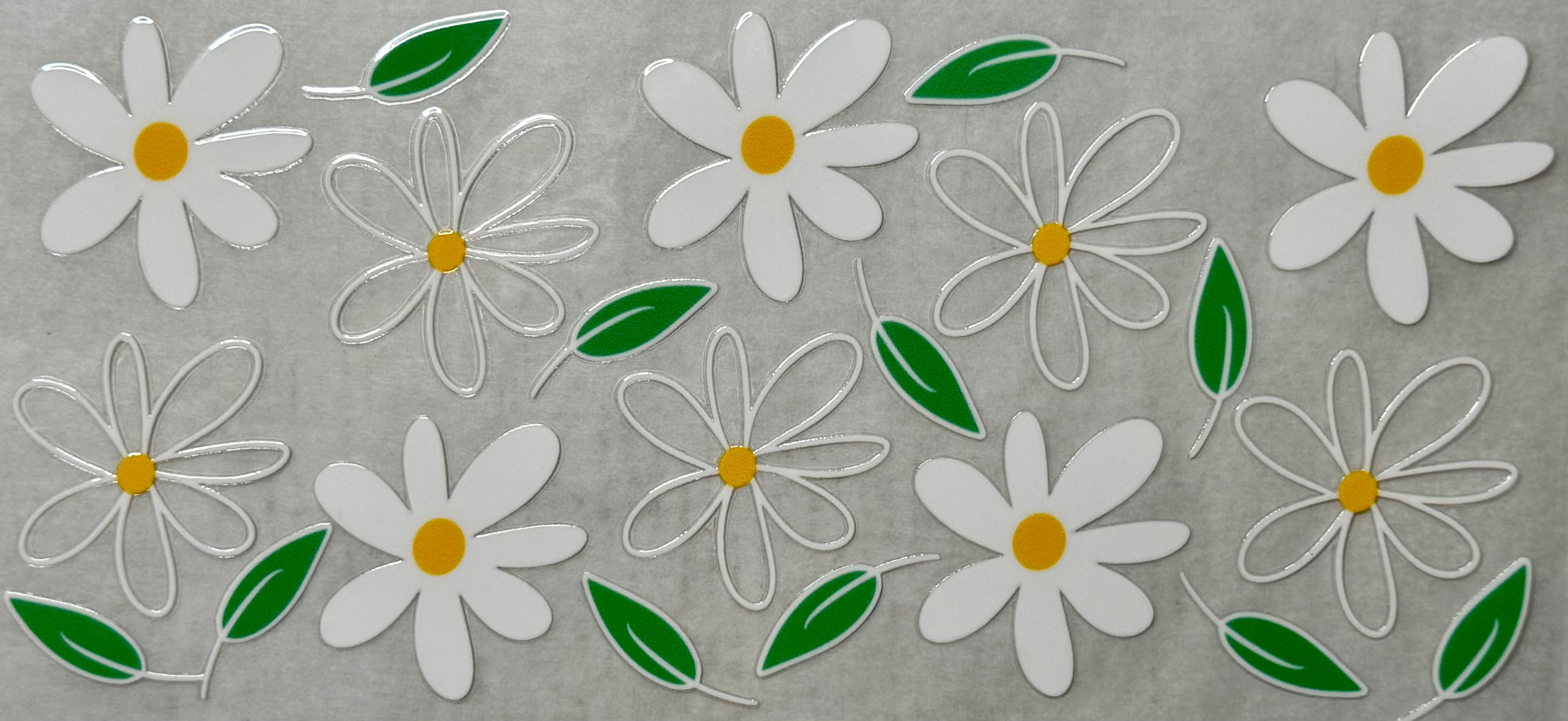 White Daisies
