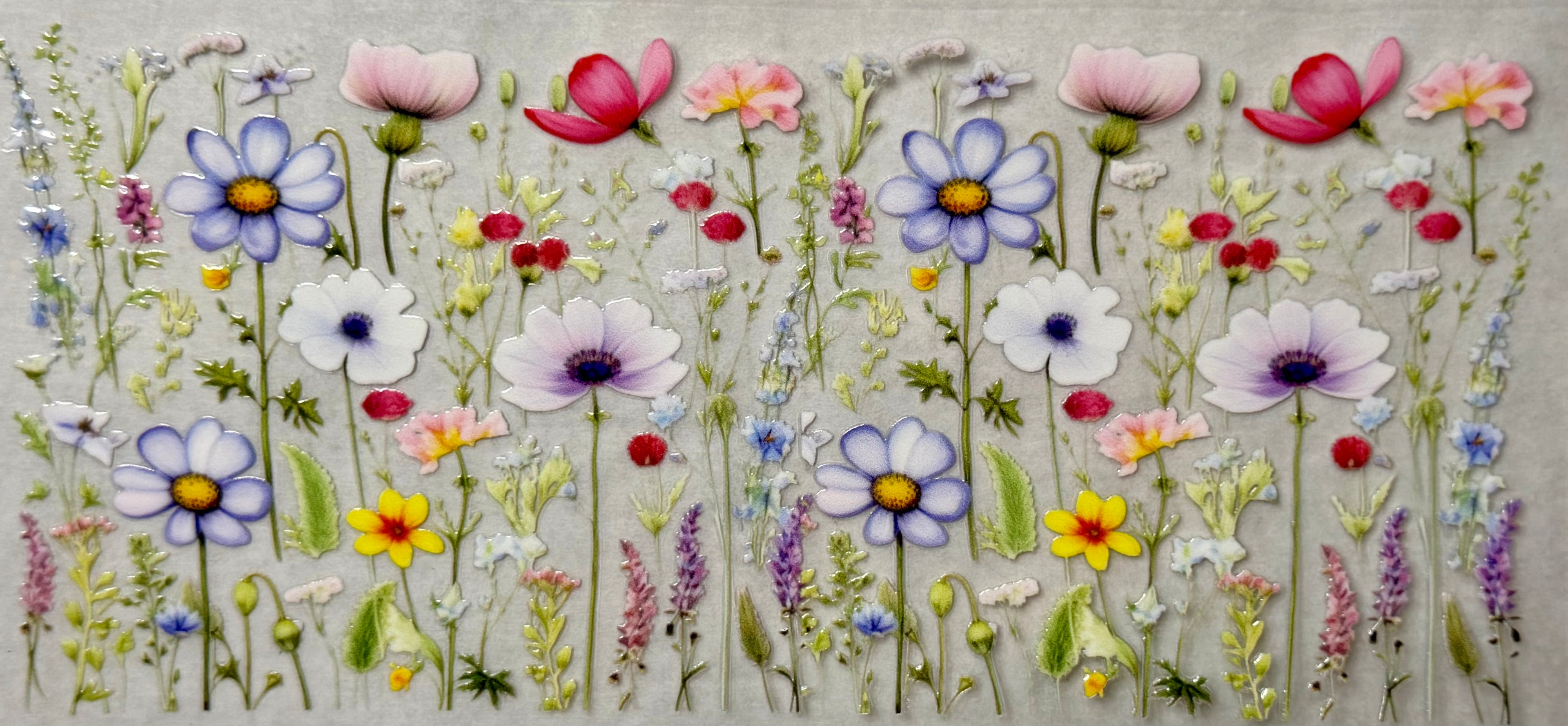 Field of Flowers